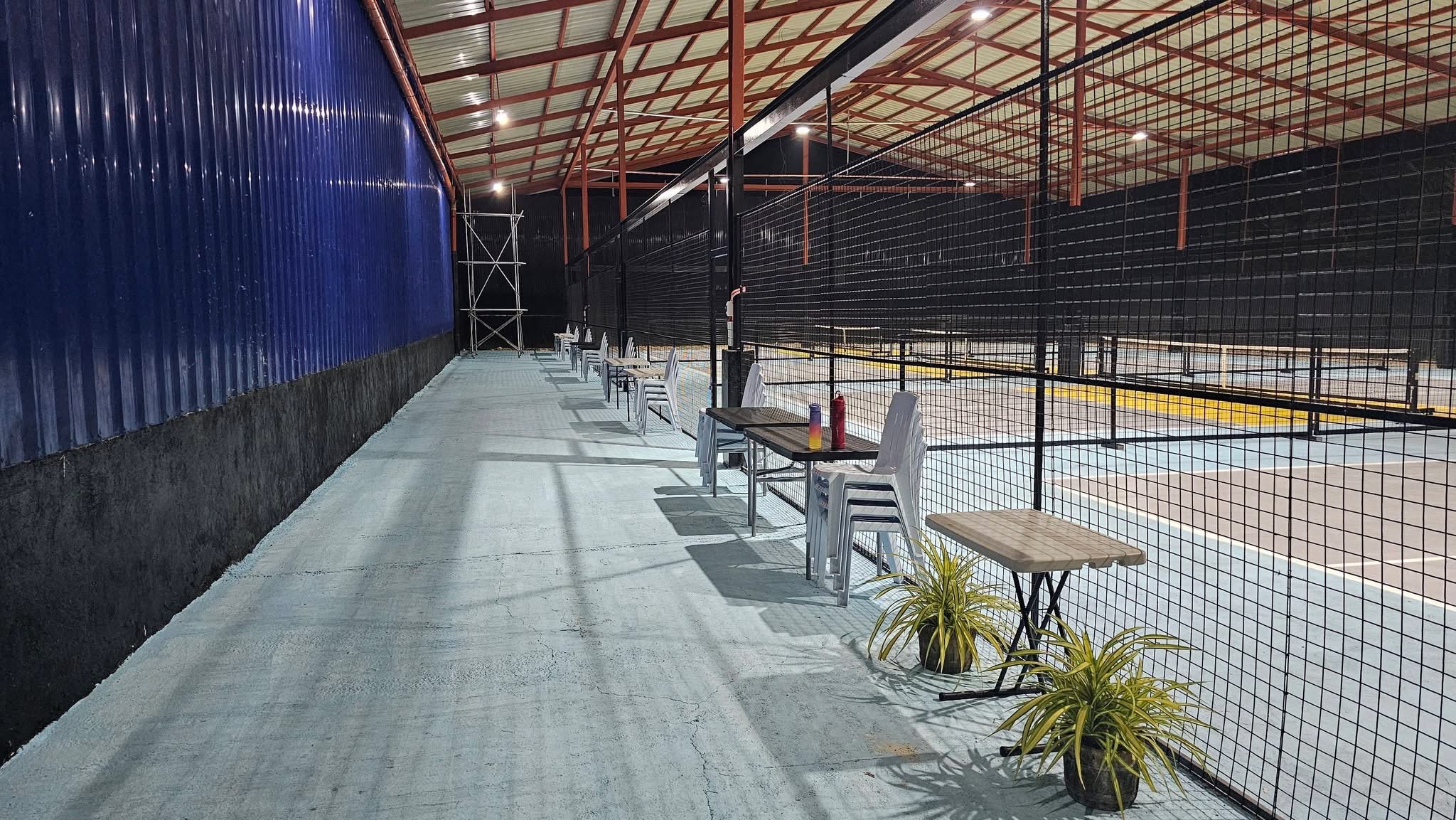 Budz Pickleball Court 3