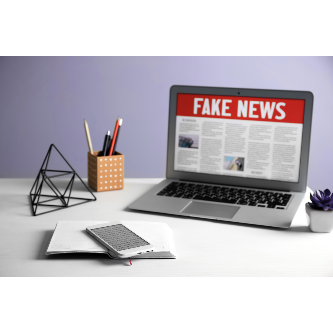 The Impact of Fake Reviews